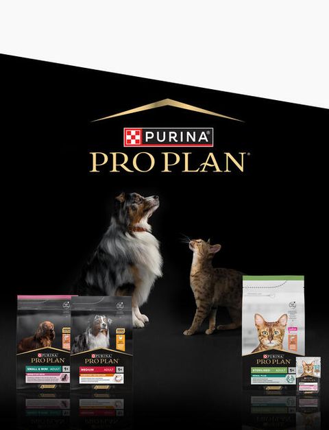 Purina Proplan